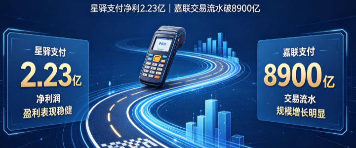 支付赛道半年成绩单：星驿支付净利2.23亿，嘉联交易流水破8900亿